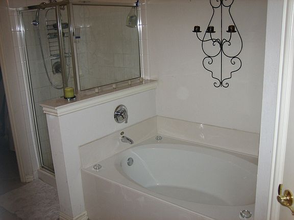 Downstairs Master Bath