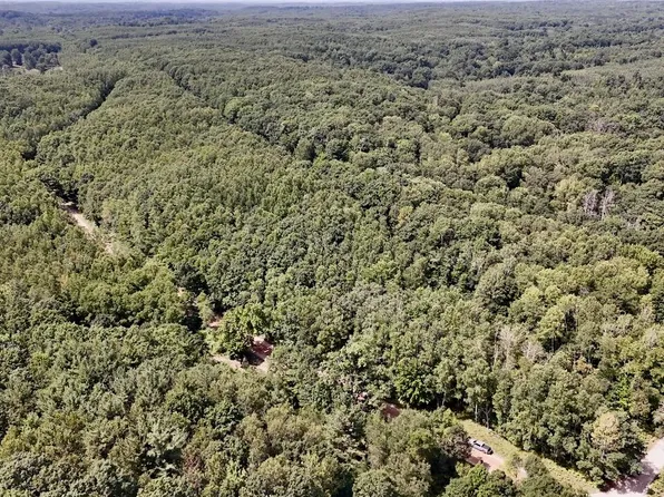 7 Mile Rd, Evart, MI 49631