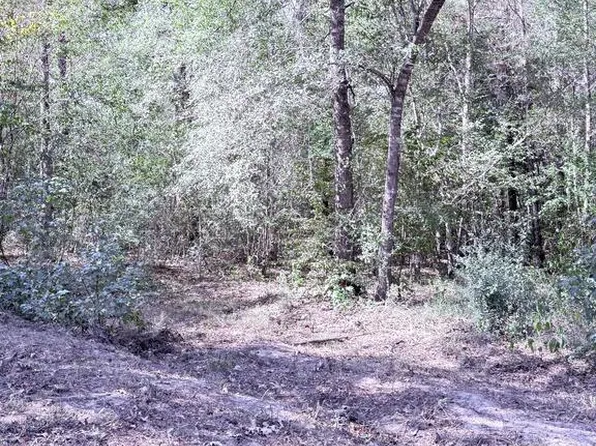 752 County Road 1058, Wiergate, TX 75977