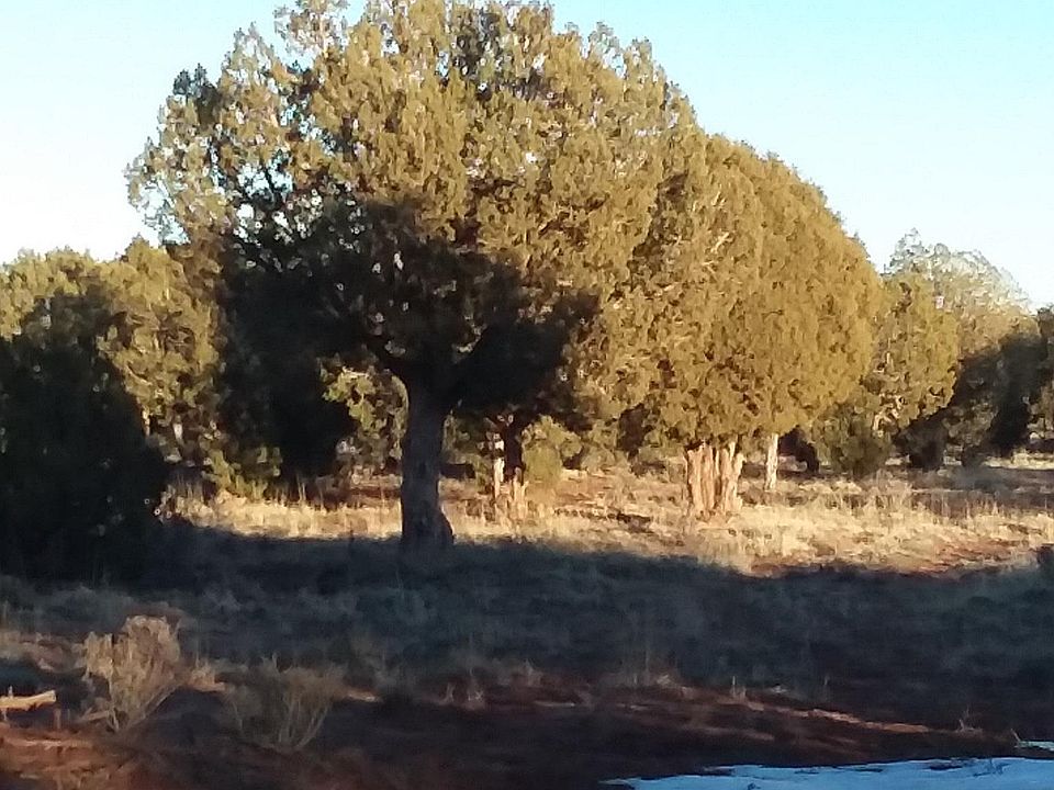 1st image of LOT 589 Lot 589 Ranch Of The White Mtns