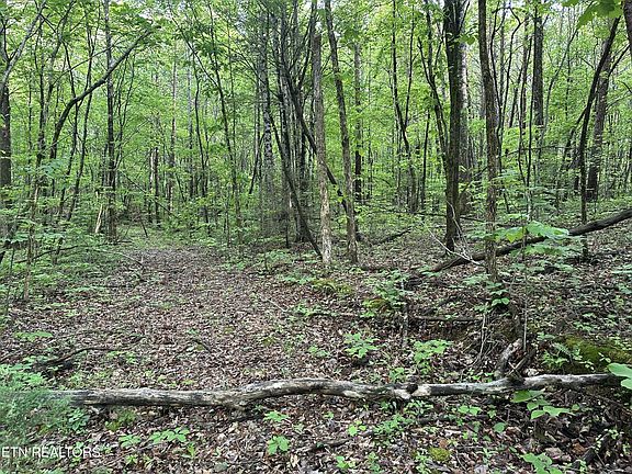 4th image of 2 Unrestricted Land Graves Rd