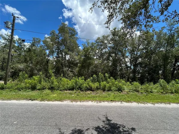 0 Malauka Radial Ln Lot 5, Ocklawaha, FL 32179