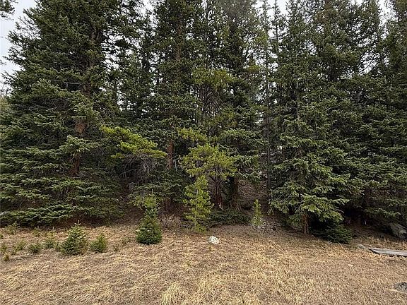 2nd image of 91 Lake Road