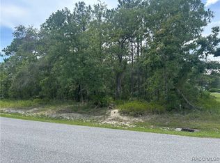 165 Daisy St, Homosassa, FL 34446