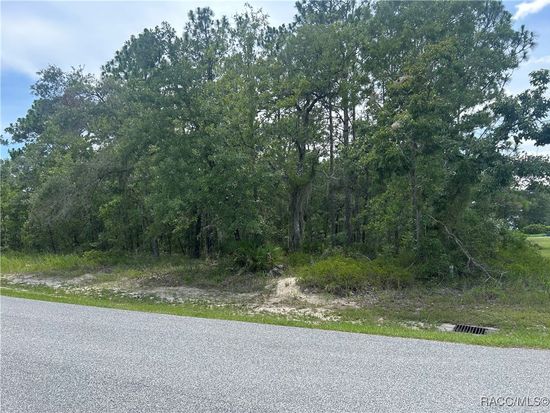 165 Daisy St, Homosassa, FL 34446