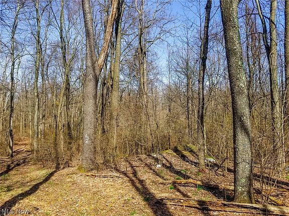 4th image of 17805 Early Cemetary Rd SW