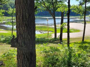 11237 S Rabbit Rd, Baldwin, MI 49304