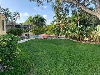 Back yard