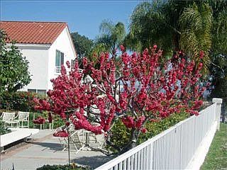 3rd image of 12348 Avenida Consentido