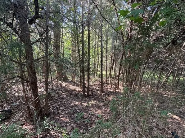 0 Three Notch Rd, Kents Store, VA 23084