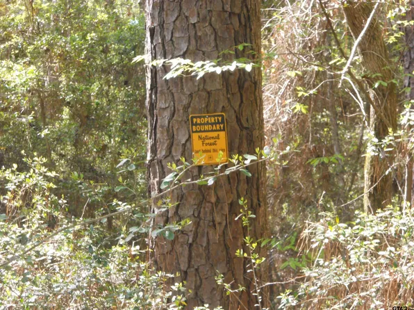 627 County Road 3373, San Augustine, TX 75972