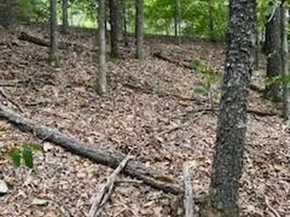 Tbd Emerald Crest -47 Acres, Hollister, MO 65672