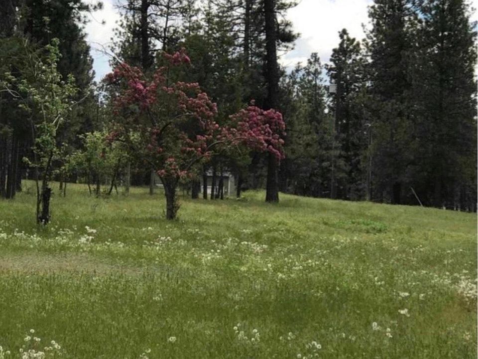 21910 W Bannock Ave, Medical Lake, WA 99022 Zillow