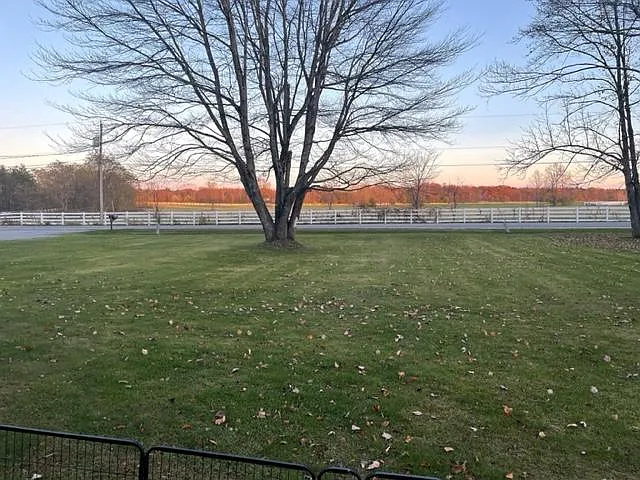 Front Yard