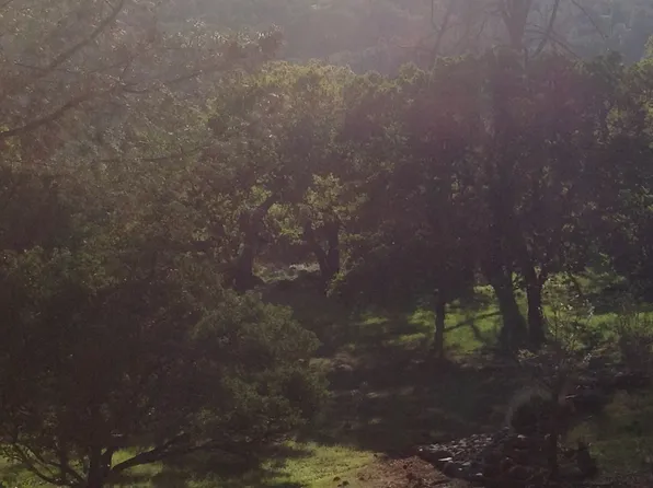 16120 Eagle Rock Rd, Hidden Valley Lake, CA 95467