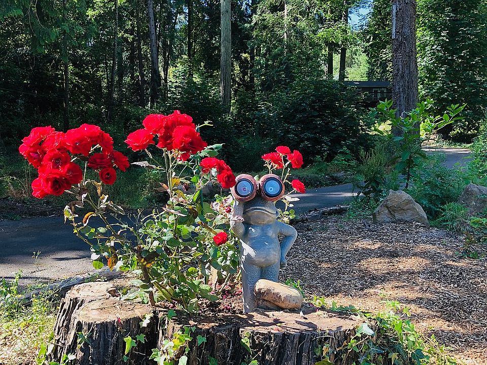 Rosie Ranch 