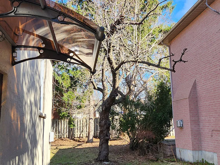 126 Olive Ave — Photo 4