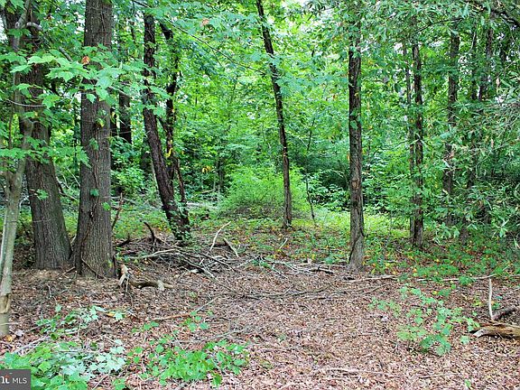 2nd image of 28723 Three Notch Rd