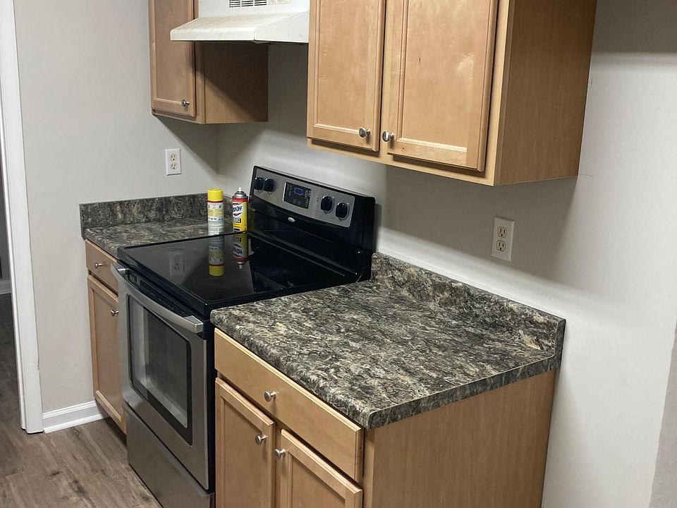 Fully renovated kitchen: new paint, cabinets, counters, and floor