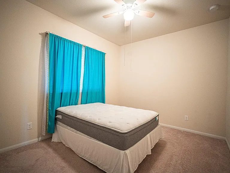 4138 Falvel Shadow Creek Dr — Photo 16