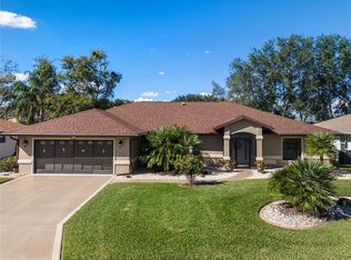 21821 Tartan St, Leesburg, FL 34748