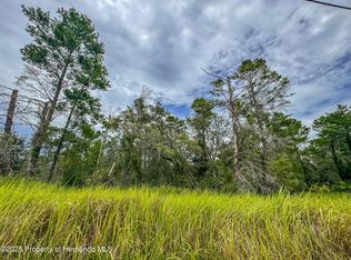 0 Bahama Swallow Ave, Brooksville, FL 34613