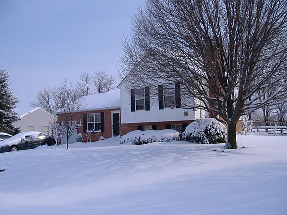 Winter 2006 front yard