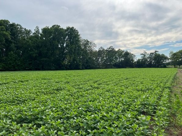 LOT-22C Bullbegger Rd, Withams, VA 23488