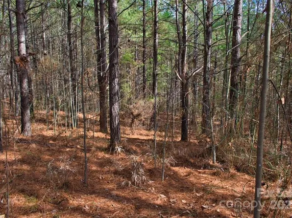 0 Bitterroot Cir #224, Rutherfordton, NC 28139