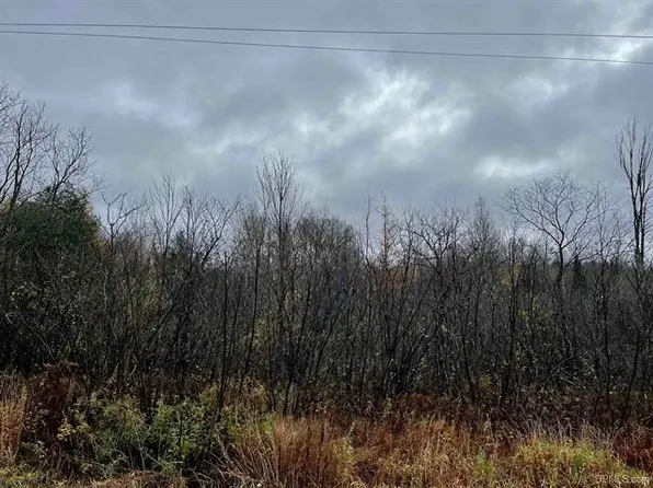 Tbd Van Buskirk Rd, Ironwood, MI 49938