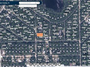 402 Rhode Island Ave, Satsuma, FL 32189