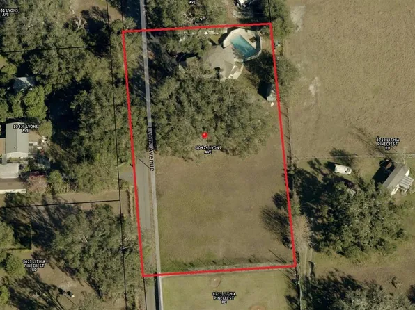 10424 Lyons Ave, Lithia, FL 33547