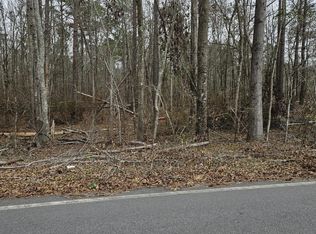 54855486 5485/54 Mitchner Road Ext, Dearing, GA 30808