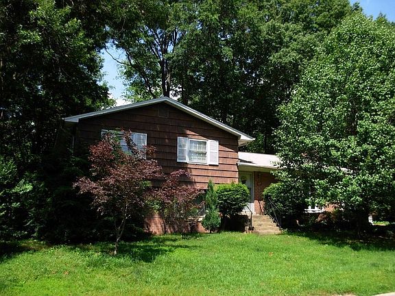 Tall trees and cool shade