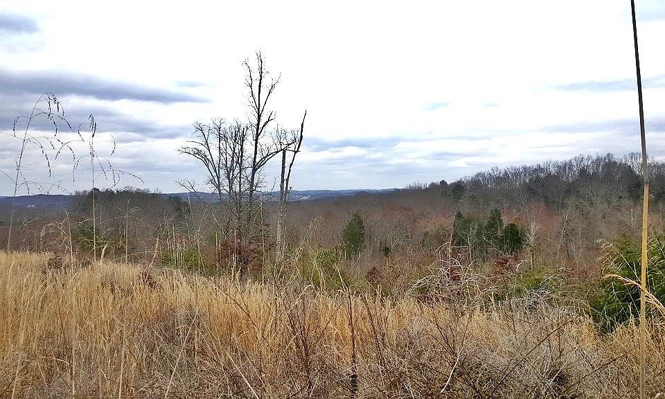 1st image of 0 Son Moore Ln