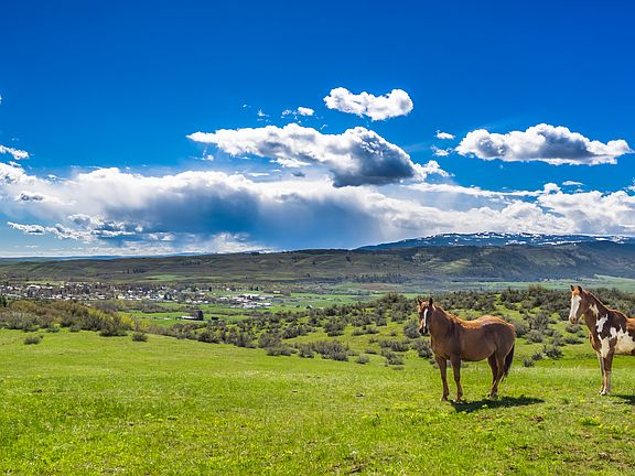 360 deg view, homesites 