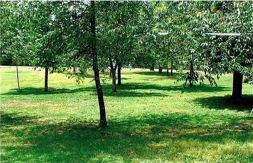 4th image of 20378 Twin Lakes Dr