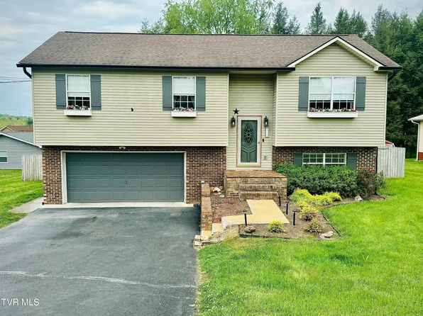 317 Beaver Cir, Bluff City, TN 37618