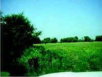 1st image of 169 Vz County Road 2607