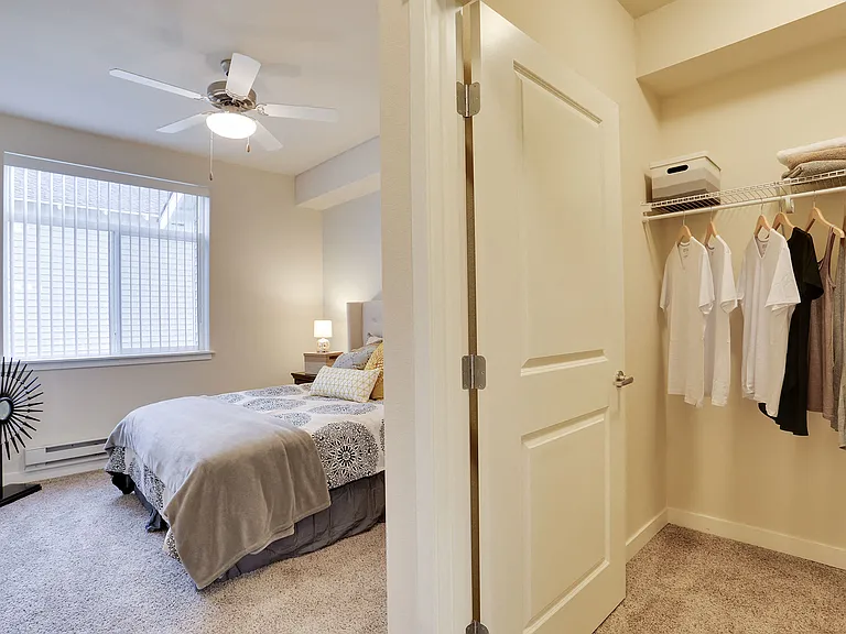 Walk-in Closets