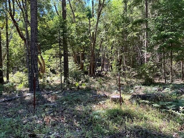 2nd image of 0 Fir Canyon Rd
