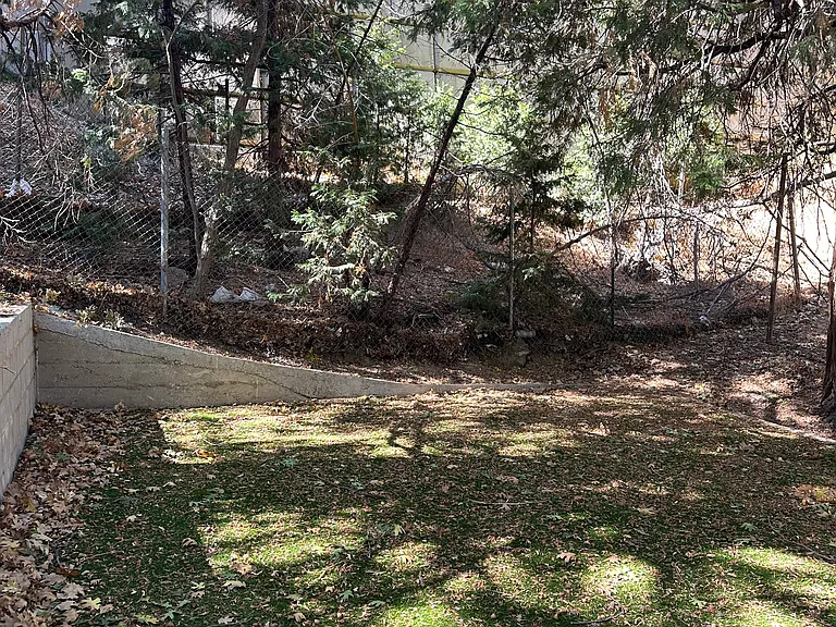 Acacia Dr — Photo 11