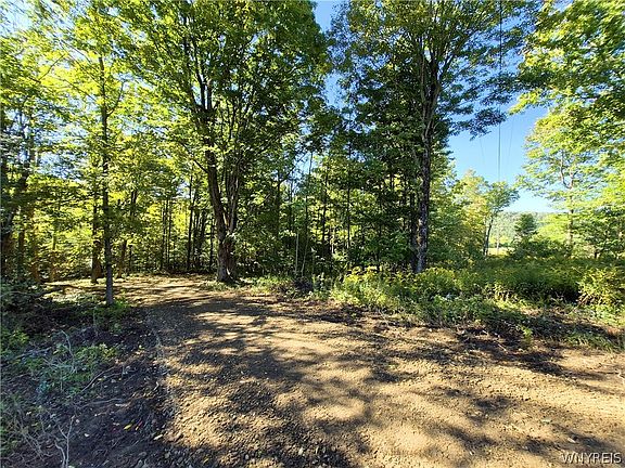 5th image of Windsor Rd Lot 3