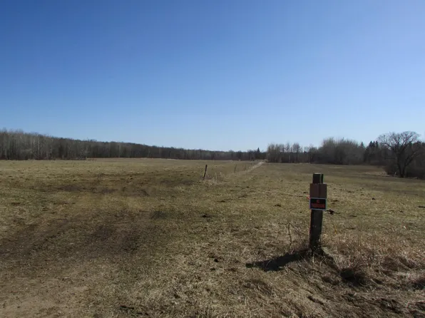 92nd St SW, Motley, MN 56466