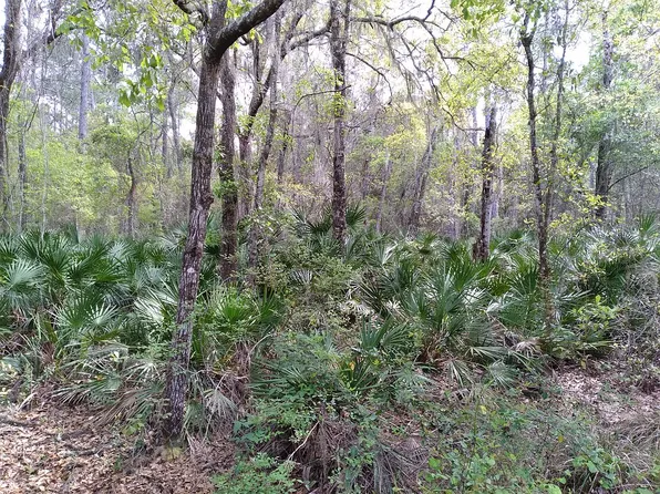 115 Miller Ave, Crescent City, FL 32112