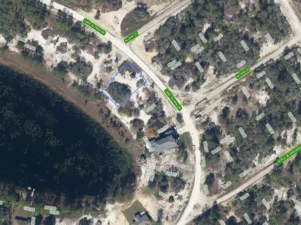 454 Lake Gloria Dr Lot 31, Lake Placid, FL 33852