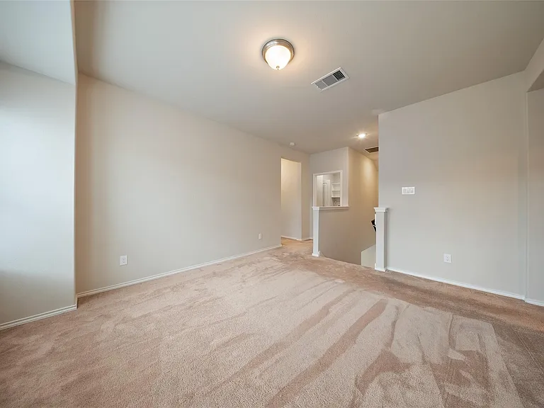 5031 Chestnut Orchard Dr — Photo 21