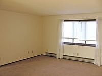 2nd image of 1361 Easy St APT 7