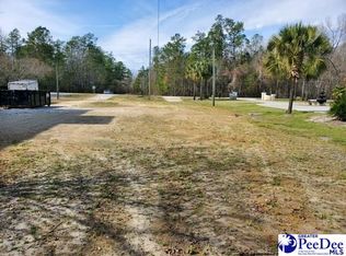 1060 Fork Retch Ct, Mullins, SC 29574