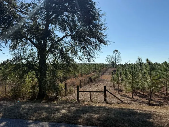0 NW County Road 290, Mayo, FL 32066
